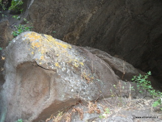 Grotta Falconiera